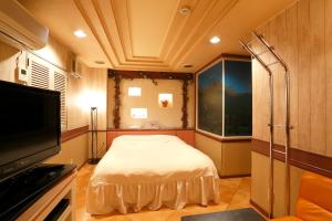 a room with a bed and a tv and a window at Hotel Oaze Adult Only in Tokyo