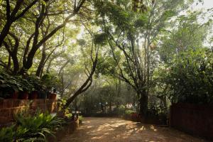 a dirt road in a forest with trees and plants at Bella Vista Mahabaleshwar in Mahabaleshwar