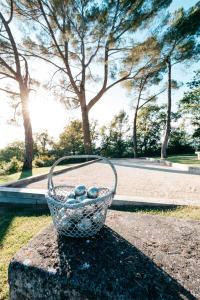 Zahrada ubytování Domaine Perréal Les Gîtes