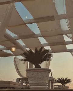 Galeriebild der Unterkunft L'incanto di Nausicaa in Ascea + 87 Fotos