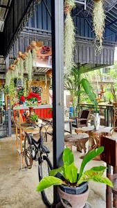 a bike parked inside of a building with plants at Eat n Sleep in Phuket Town