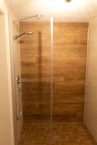 a shower with a glass door in a bathroom at Hof Timmermann - Bienenstock in Ottenstein