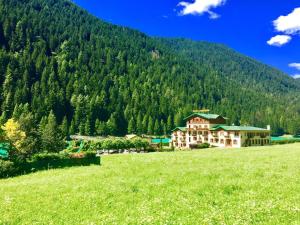 a large building in a field in front of a mountain at Hotel Juventus in Auronzo di Cadore +20 photos
