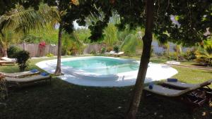 Piscina di Botanica Eco Lodge o nelle vicinanze