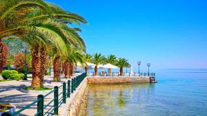 a row of palm trees next to a body of water at Chrysa's Studios in Loutra Edipsou