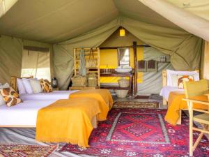 1 Schlafzimmer mit 4 Betten in einem Zelt in der Unterkunft Kandili Camp in Musiara Campsite