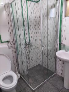 een badkamer met een douche, een toilet en een wastafel bij Village House Gradac in Šavnik