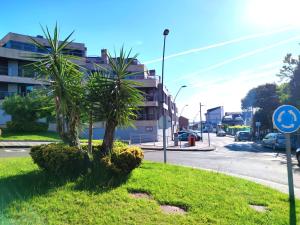 una calle con dos palmeras al lado de una carretera en Apartamento playa Cabodeiro, en A Illa De Arousa en Isla de Arosa