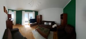 a living room with green walls and a couch at Apartament 15 min od morza in Gdańsk