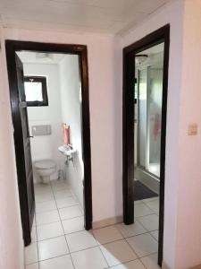 a bathroom with a toilet and a sink at Gemenc Vendégház Baja in Baja