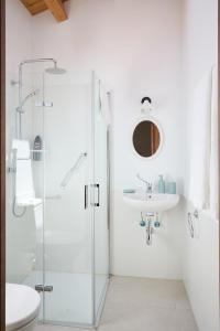 y baño con ducha acristalada y lavamanos. en Los Apartamentos del Palacio, en Casalarreina
