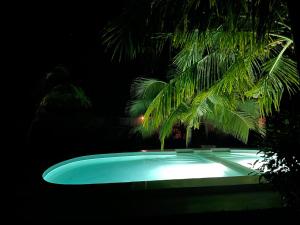 Piscina di Botanica Eco Lodge o nelle vicinanze