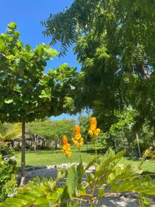 Giardino di Botanica Eco Lodge