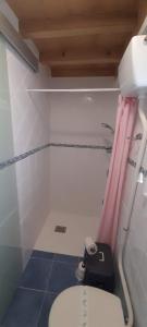 a bathroom with a toilet and a pink shower curtain at Gestiona2R - Casa en la playa, ideal parejas in Barro de Llanes +29 photos