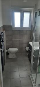 a bathroom with a toilet and a sink at Casa Felix Ostia in Lido di Ostia