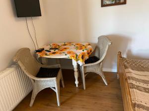 奧斯翠茨的住宿－Gościniec Zośka，一张桌子、两把椅子和一张布满鲜花的桌布