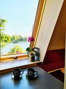 two coffee cups sitting on a table in front of a window at Mikołajki Apartament Między mostami in Mikołajki