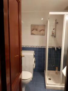 y baño con aseo blanco y ducha. en Apartamento en casco antiguo Pi y Margal, en Vigo
