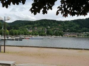 Fotografia z galérie ubytovania Le Mélèze, petit nid douillet v destinácii Gérardmer