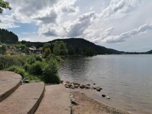 Fotografia z galérie ubytovania Le Mélèze, petit nid douillet v destinácii Gérardmer