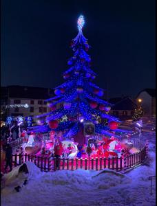 Fotografia z galérie ubytovania Le Mélèze, petit nid douillet v destinácii Gérardmer