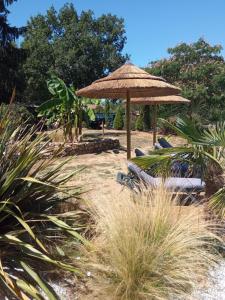 a beach with a straw umbrella and lounge chairs at Mas des Vignes Piscine chauffée in Le Champ-Saint-Père