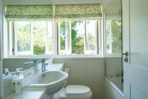 uma casa de banho com um lavatório, um WC e janelas em Valley View House em Fritham