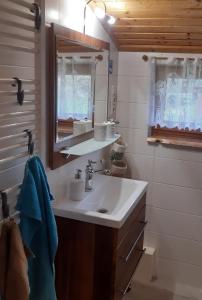 a bathroom with a sink and a mirror at Landhof Kützin Ferienhaus 6 Specht 