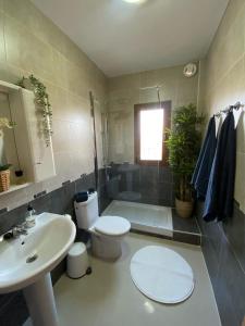 ein Bad mit einem WC, einem Waschbecken und einer Dusche in der Unterkunft Casa Milo in Nerja