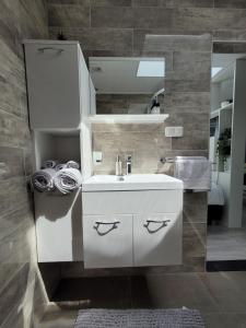 een badkamer met een witte wastafel en een spiegel bij B&B Mooi Betuwe in Tiel