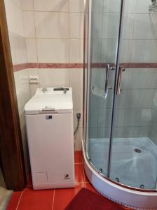 a shower with a toilet and a sink in a bathroom at Pas Romaną in Zarasai +9 photos