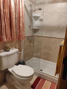 een badkamer met een toilet en een douche bij St paul's in St Paul's Bay