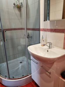 Phòng tắm tại Pas Romaną