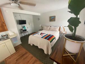 a hotel room with a bed and a potted plant at The Summit Inn in Cloudcroft