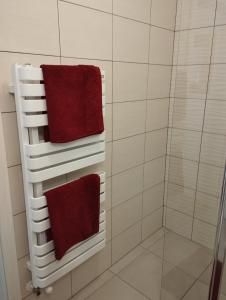 baño con toallas rojas colgadas en la pared en Liliomfa apartman en Szigliget