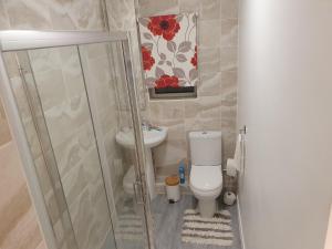 a bathroom with a shower and a toilet and a sink at king Bed Premium luxury suite + Free Parking + Free Fast WiFi in Morley