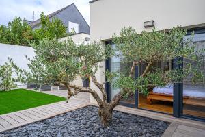 a courtyard with a tree in the middle of a house at LA P'TITE VANNETAISE - Petite maison au bord de l'eau à Conleau avec vélos in Vannes