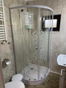 La salle de bains est pourvue d'une douche, de toilettes et d'un lavabo. dans l'établissement Vila Panoramic Pestera, à Peştera