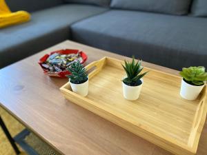 trois plantes en pot sur un plateau en bois sur une table basse dans l'établissement Le Roofound - Porte de Paris - Métro à 5min - Entrée personnelle, à Charenton-le-Pont