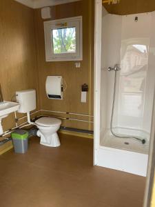a bathroom with a toilet and a shower and a sink at LakePark Apartman in Bekecs