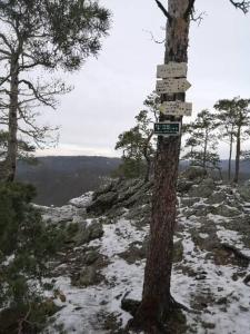 un cartel en un árbol en la cima de una montaña en Obytný kontejner BUNGALOV en Senorady