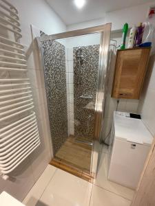 Bilik mandi di Apartament przy uzdrowisku.