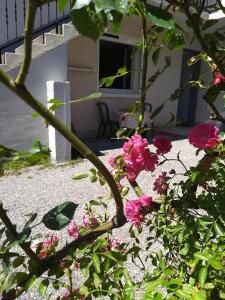 un groupe de fleurs roses devant une maison dans l'établissement JMC12, à Onet le Château