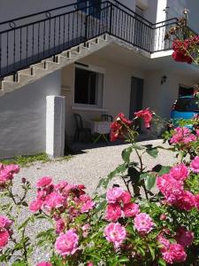 Une bande de fleurs roses devant une maison dans l'établissement JMC12, à Onet le Château