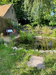 a garden with a pond and a bench at Gästehaus Kleiner Wacholder in Bad Doberan