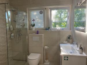 a bathroom with a shower and a toilet and a sink at Apartman Cvjetnjak in Čakovec