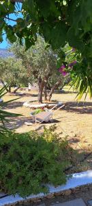 a bench sitting in the middle of a park with trees at Elisso Villas in Platis Gialos