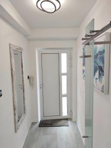 a hallway with a door and a mirror at Business Style Apartment Ludwigshafen *Free Parking and WiFi* in Ludwigshafen am Rhein