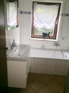 uma casa de banho com um lavatório e um gato preto sentado numa janela em Stillvoll Wohnen mit Fahrradweg zum Festspielhaus em Heinersreuth