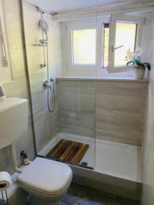a bathroom with a shower and a toilet at Appartamento con giardino, La Casa di G&G in Marina di Carrara
